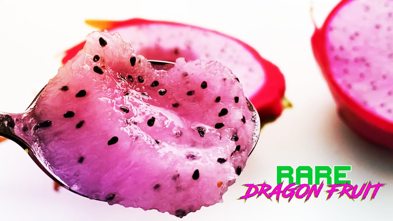 TASTING and REVIEWING La Verne DRAGON FRUIT ( The BRIX SCORE was INCREDIBLE,  Very SWEET )