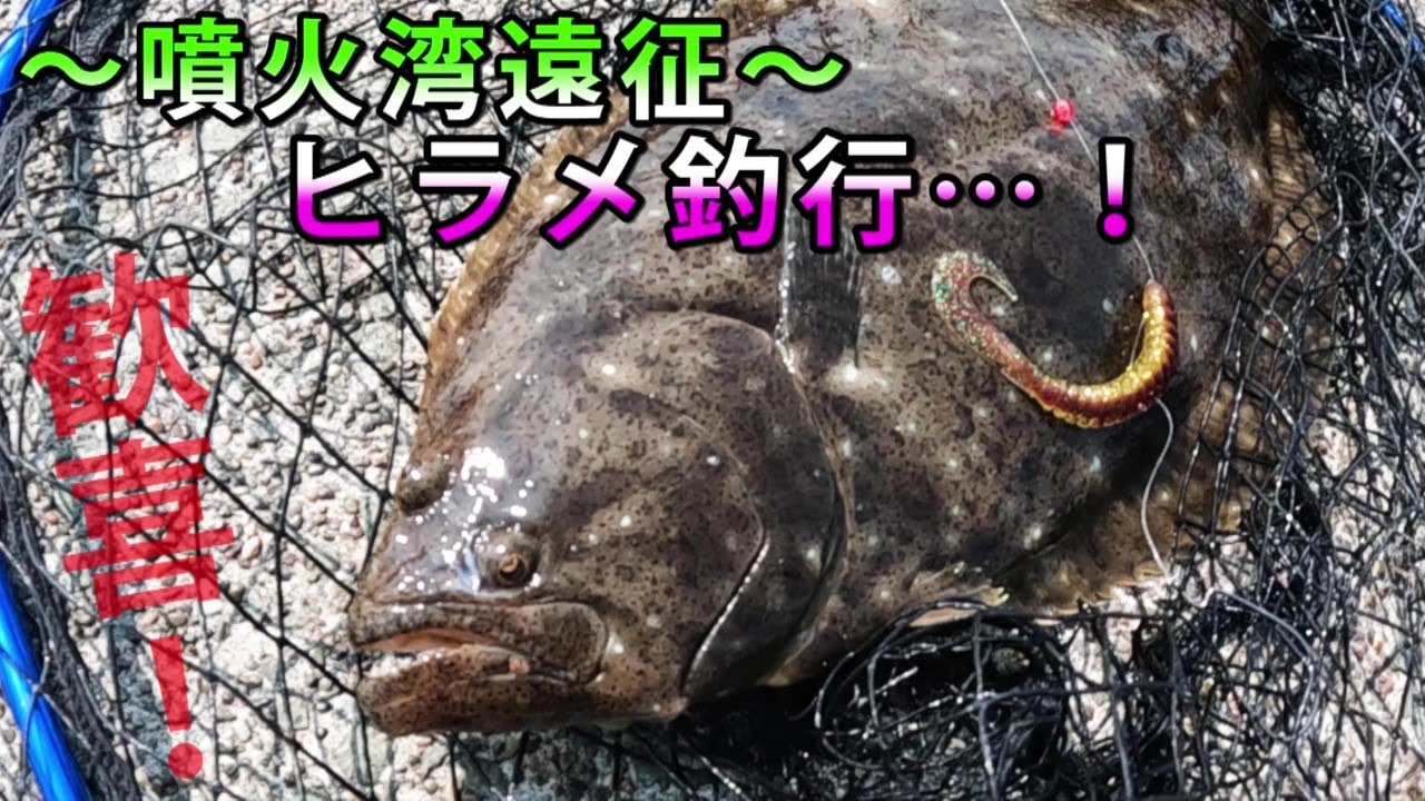 【ヒラメ】を求めて…！粘りの末に来たる歓喜～噴火湾遠征～