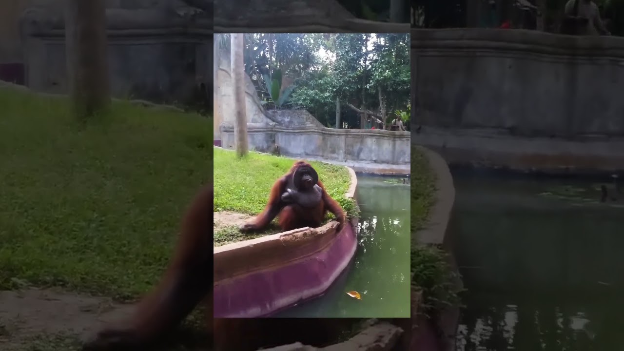 Это был обмен, а не подарок 🤯