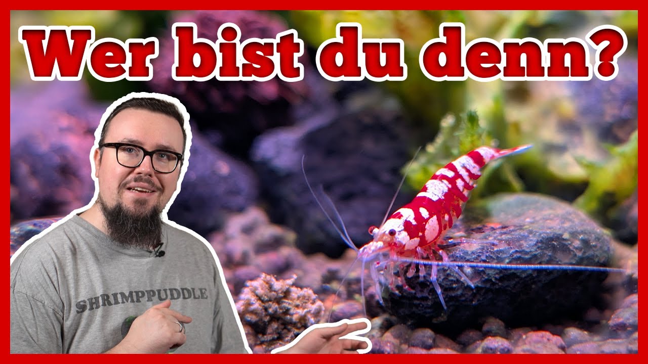 Aqua-Rundgang und Produkt Neuigkeiten