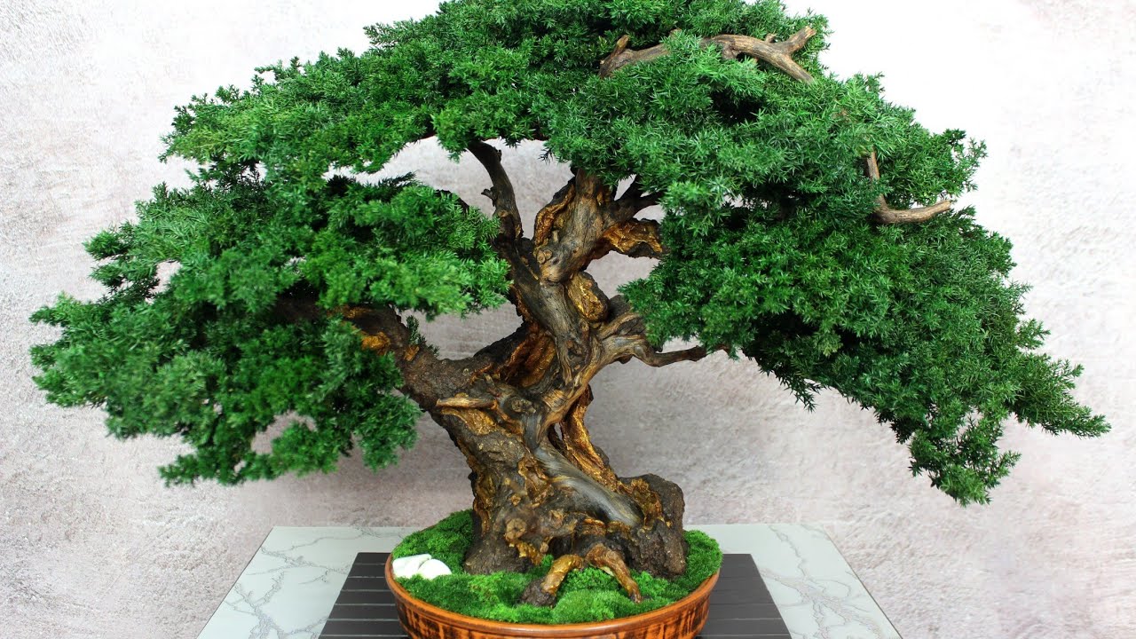 Preserved Bonsai tree made from preserved juniper and moss. 20,08