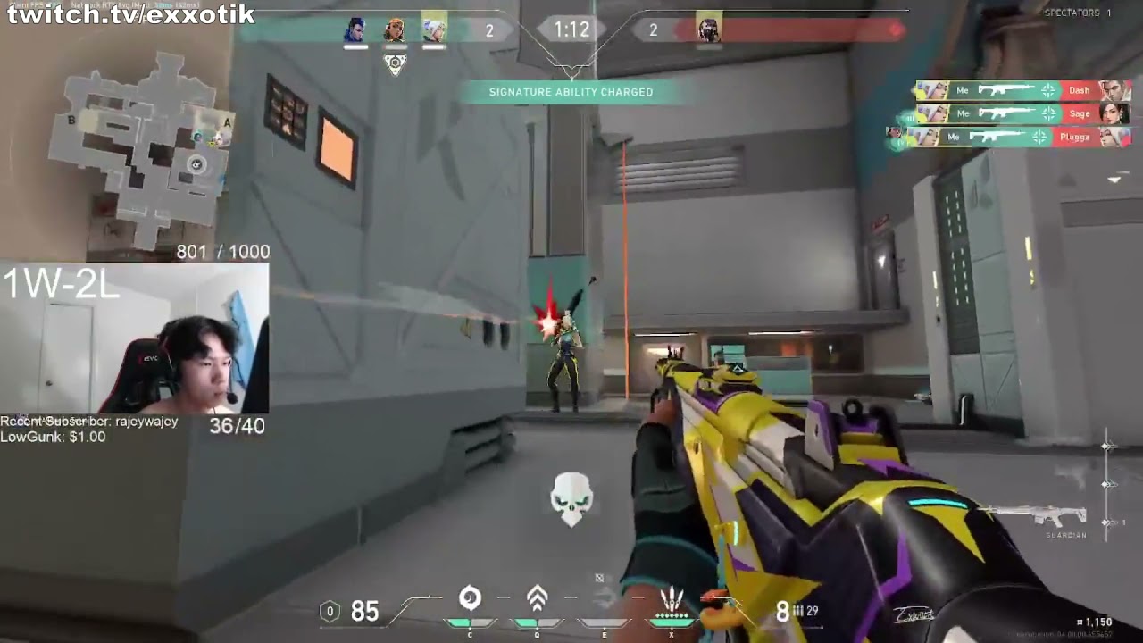 this is why you use the steelseries qck heavy and razer viper mini in valorant