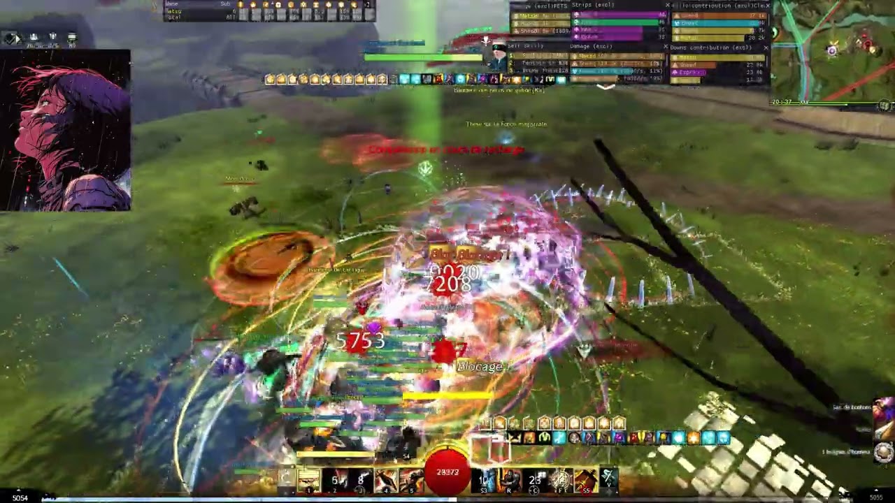DPS benchmarking [Ka]/[ight] GW2 WvW