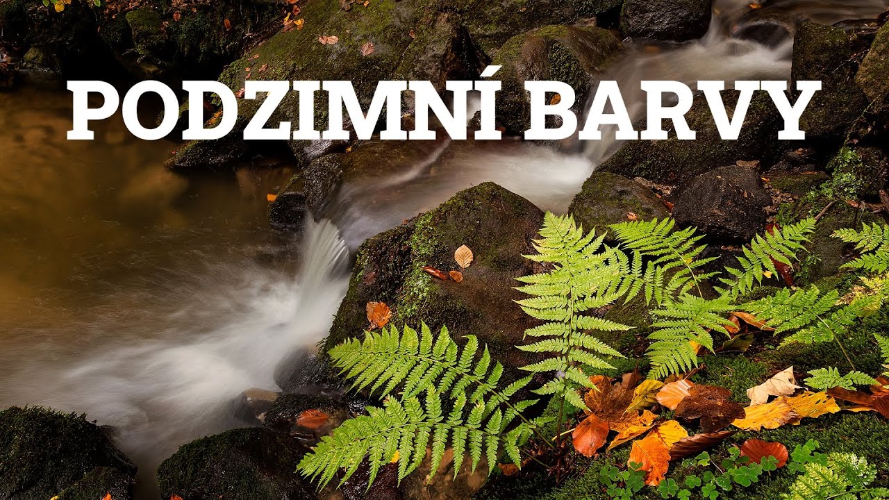 Jak využít podzimní barvy v krajinářské fotografii?