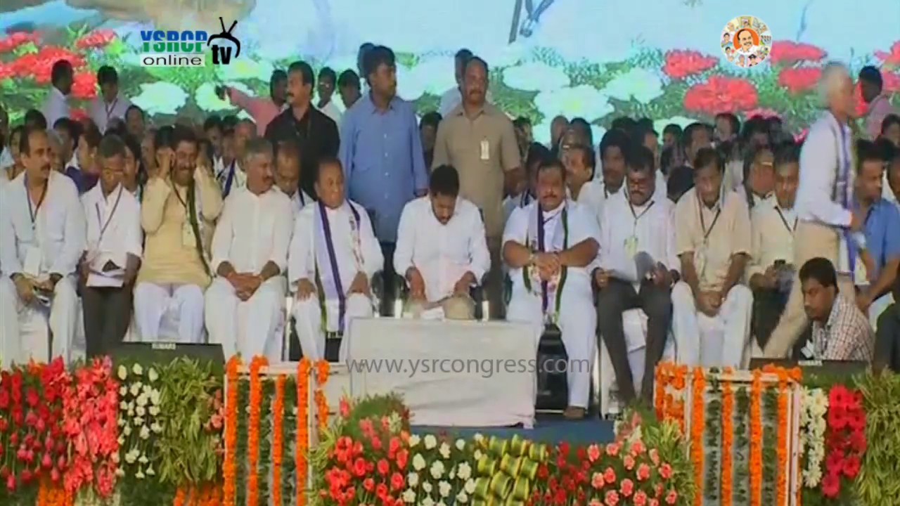 YSRCP Leader Parthasarathy Speech in Party Plenary Meeting - 9th Jul 17