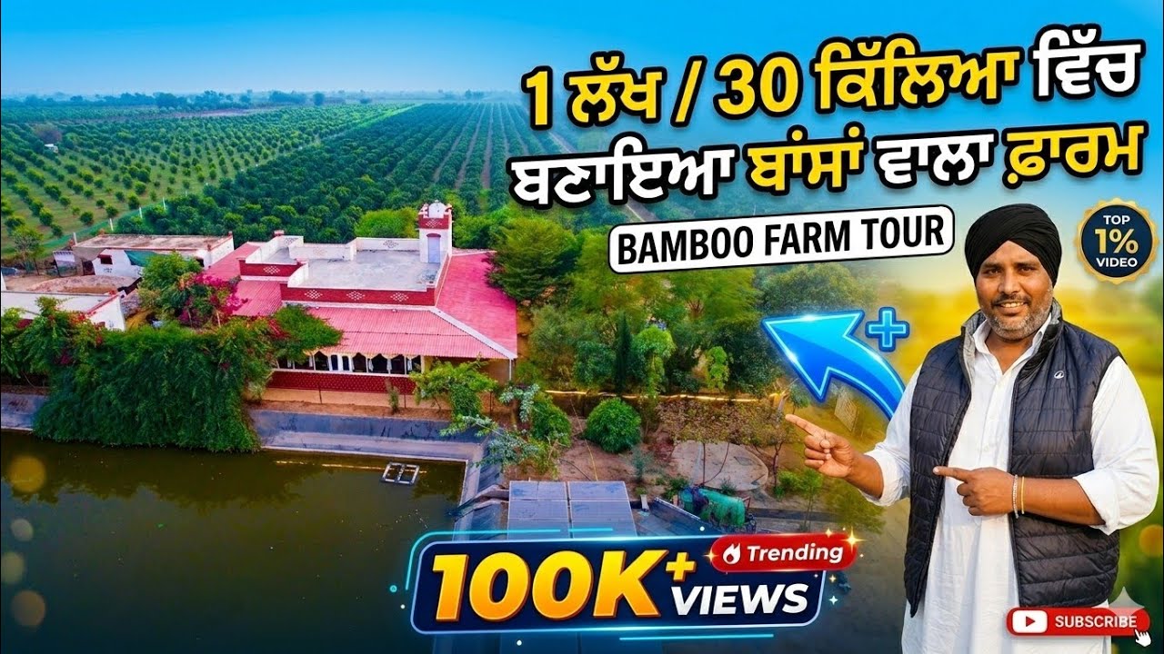 30 ਕਿੱਲਿਆਂ ਵਿੱਚ ਬਣਾਇਆ ਜੱਟ ਨੇ ਬਾਂਸਾਂ ਵਾਲਾ ਫਾਰਮ ਕਰਦਾ ਮਹਿਲਾ ਨੂੰ ਵੀ ਫ਼ਿੱਕਾ 😲। ਪਿੰਡ ਵਰਿਆਮ ਖੇੜਾ 