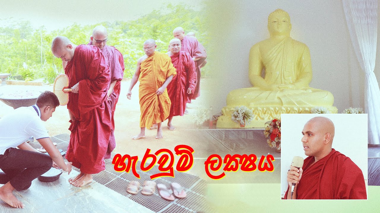 Nihada Arana 2020 06 15