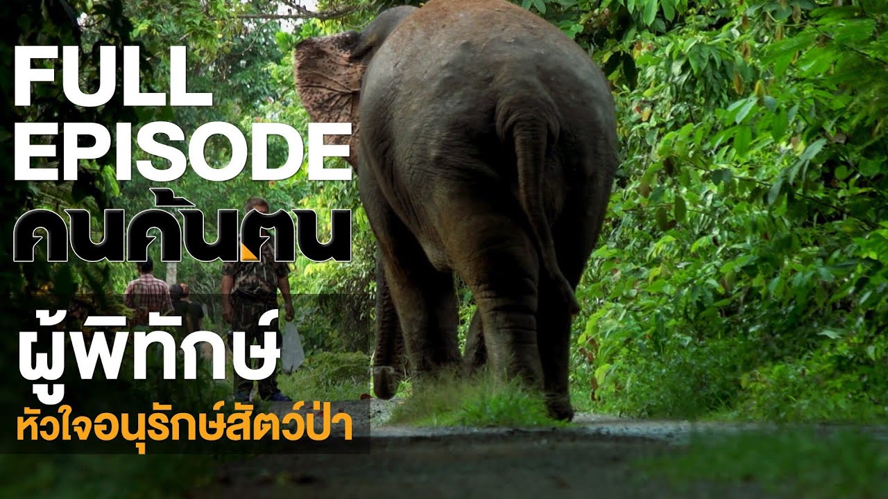 คนค้นฅน : ผู้พิทักษ์หัวใจอนุรักษ์สัตว์ป่า | FULL (19 ต.ค.61)