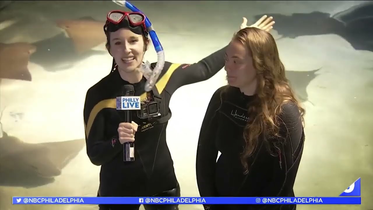 Have a Close Encounter With Sharks at NJ's Adventure Aquarium