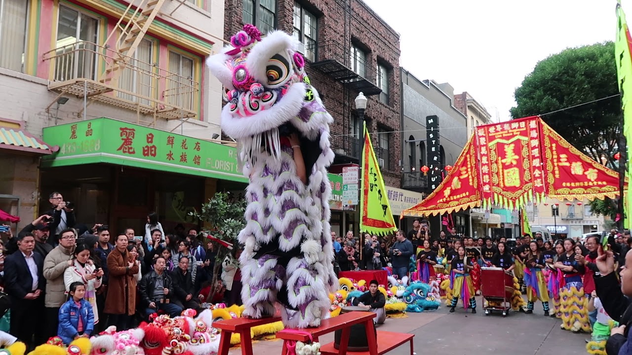 Lion Dance Me - All Girls Bench Routine