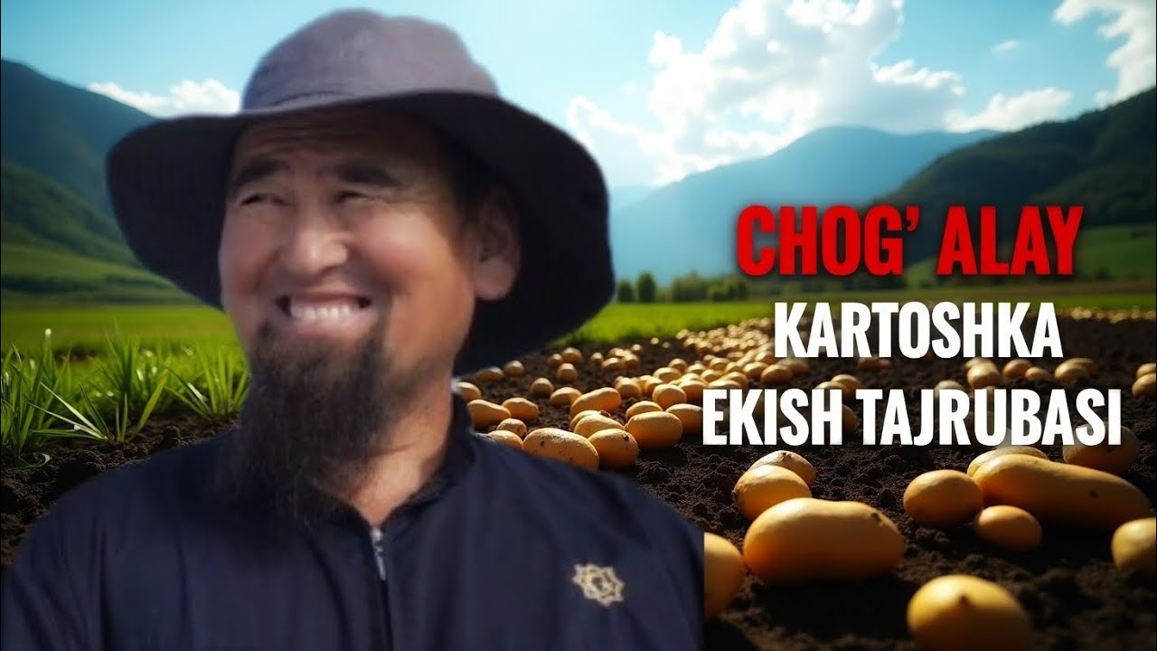 45 КУНЛИК ЭРТАНГИ КАРТОШКА 2- қисм  