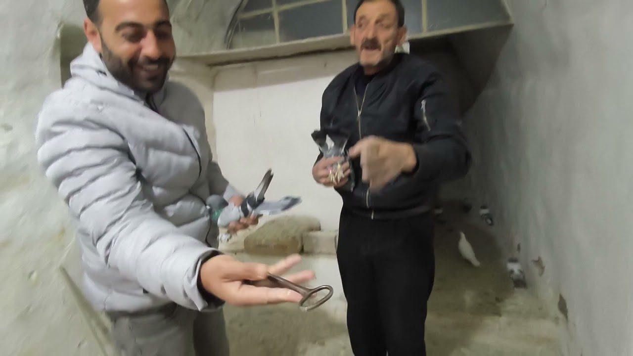 Efsane Oyun kuşları memuzin dayı Mardin'den kalite Dağıtmaya devam c.tesi Akşam saat 9 da mezatta