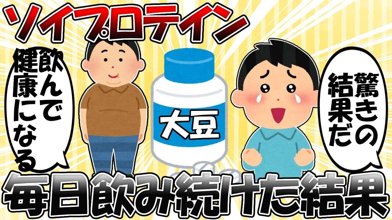 【実録】運動ゼロで毎日ソイプロテインを3ヶ月飲み続けた男の驚くべき末路