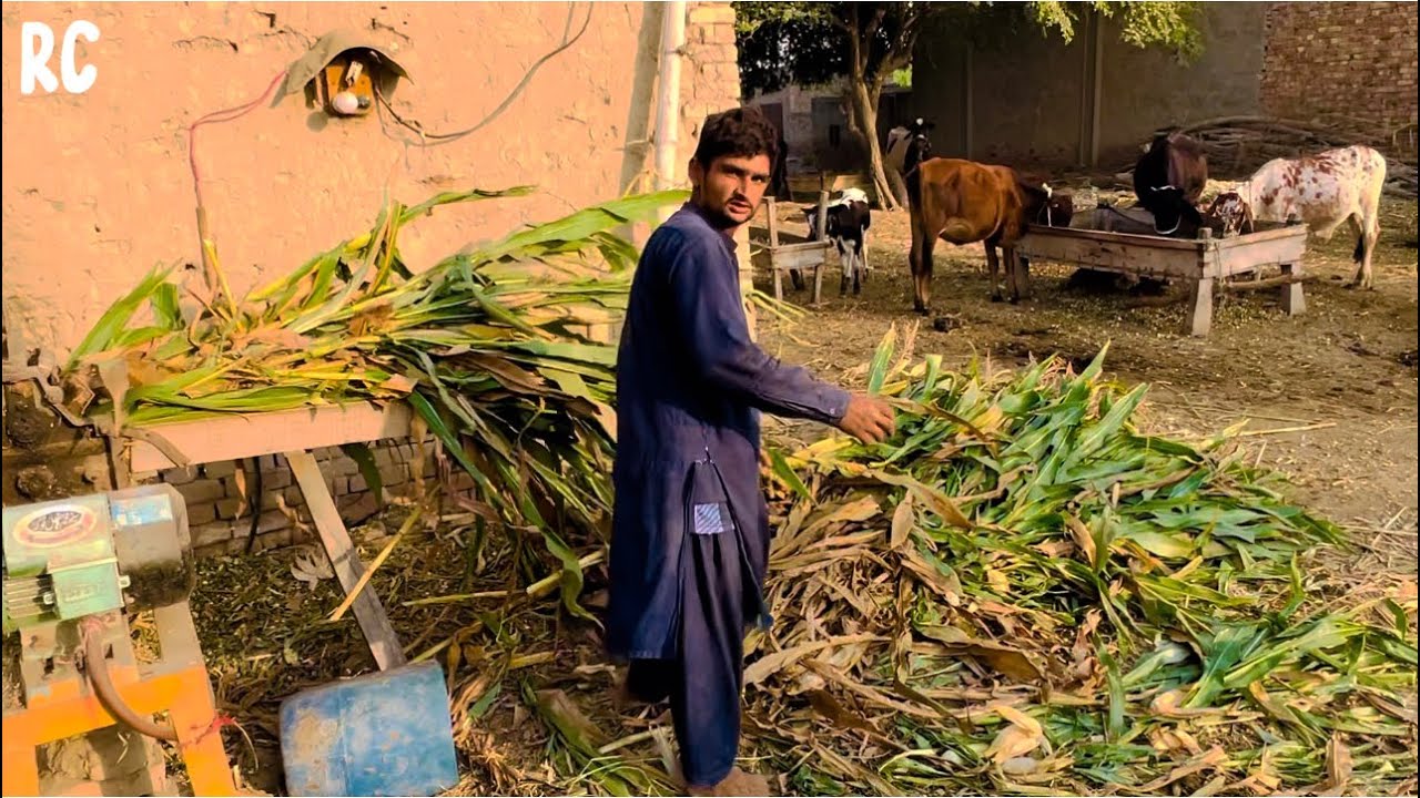 Kaka sab K Han ho Rahe ha development