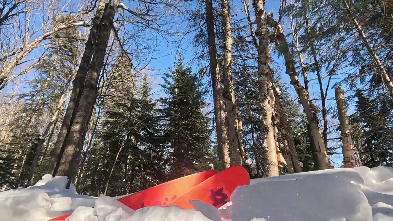 2026 02 10 Massif (partie 7)