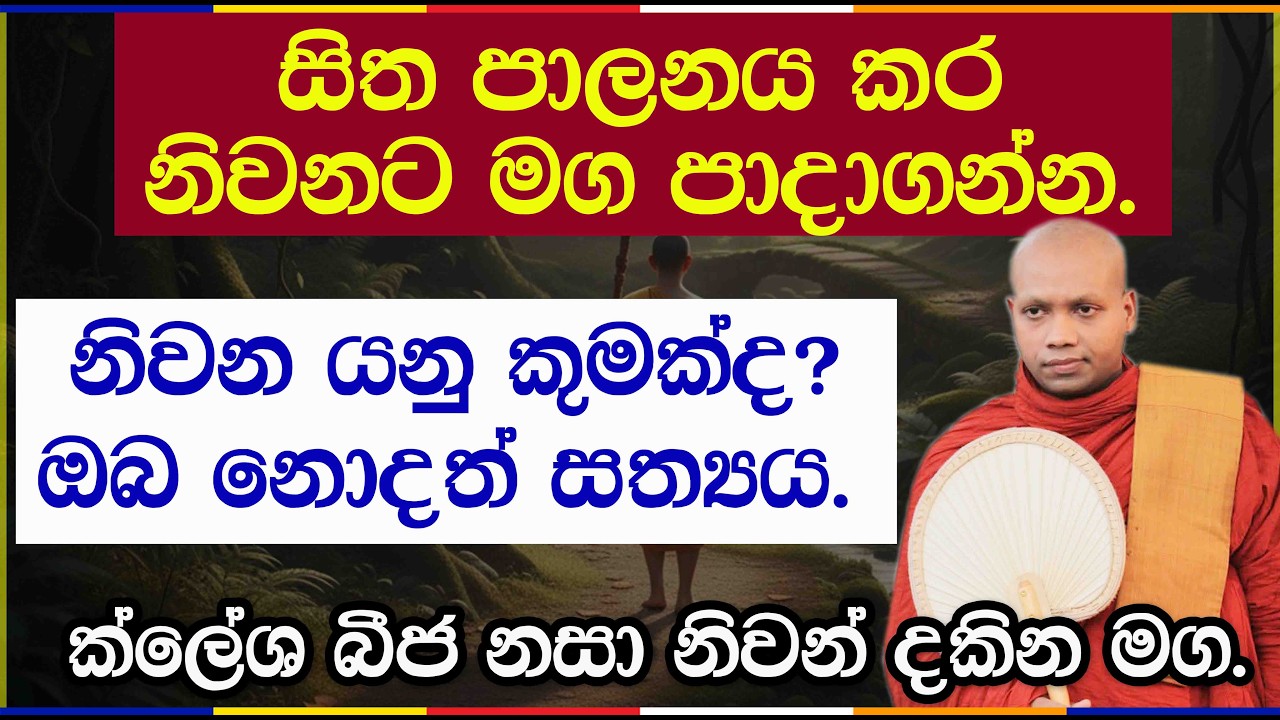 ක්ලේශ බීජ නසා නිවන් දකින මග | Hasalaka Seelawimala Thero | 3046