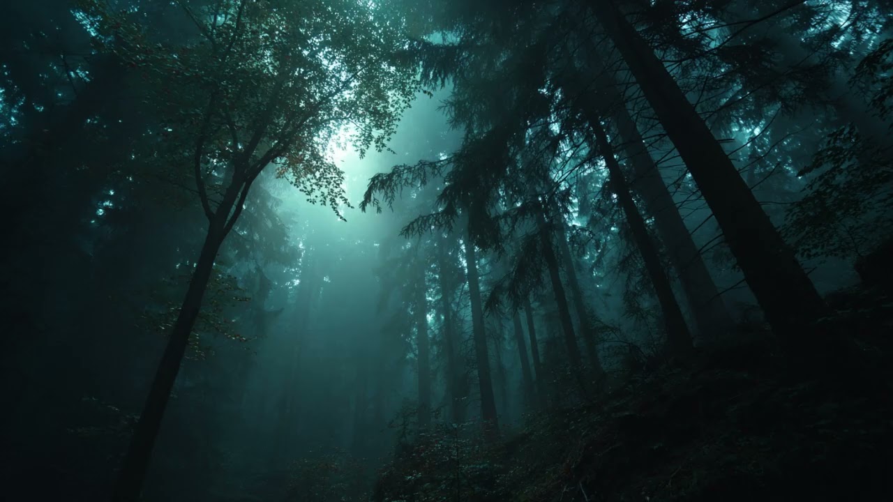 Echoes of an Unwritten Tale