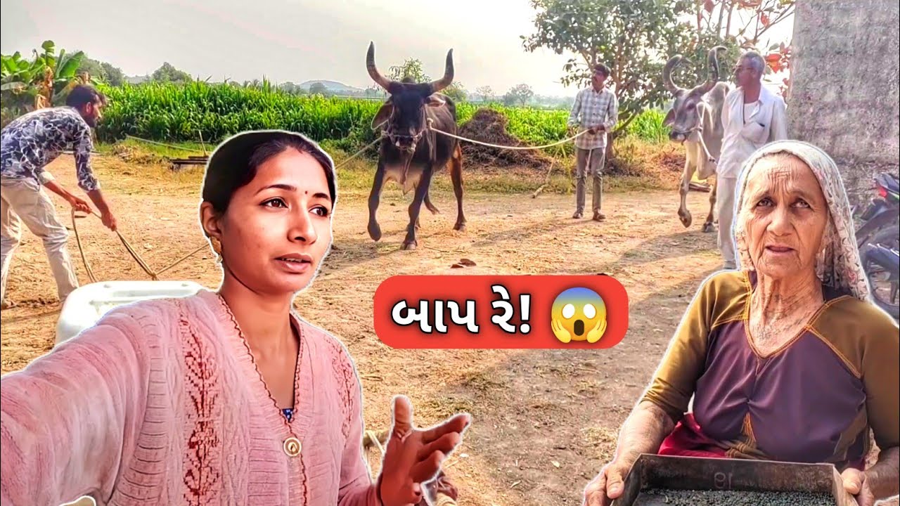 બાપા રે! 😱 નવા ફેમિલી મેમ્બરે તો આવતા વેત બધાને ડરાવી દીધા || R Gujju Vlog || 