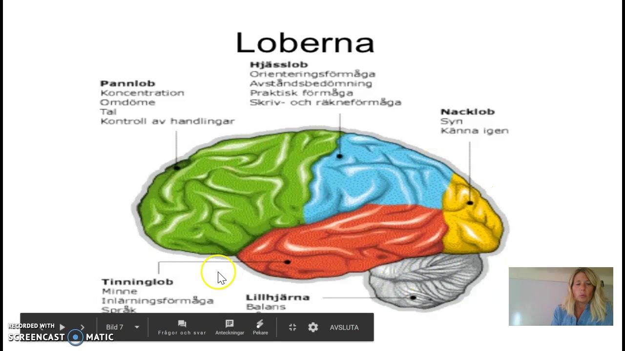 Biologiskt