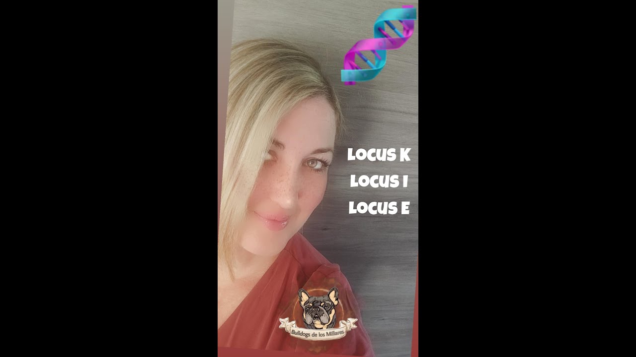 🧬Locus k, i y e.🧬 Genética canina. Negro dominante, crema e intensidad.