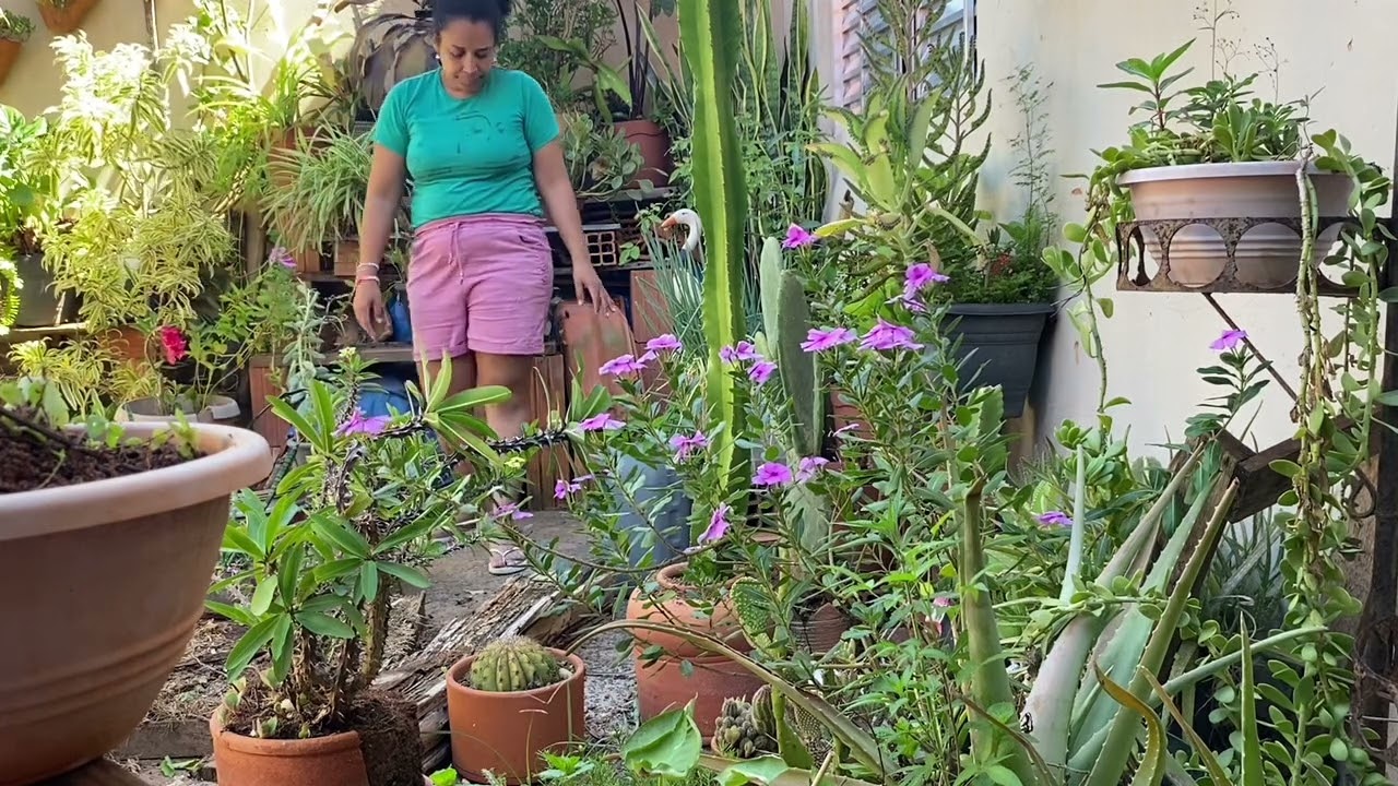 Por que não posso adiar o cuidado desse jardim? 🪴 
