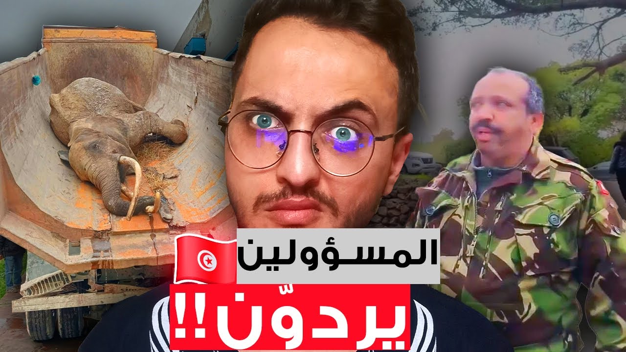 الحقيقة وراء وفاة فيلة البلفيدار!!