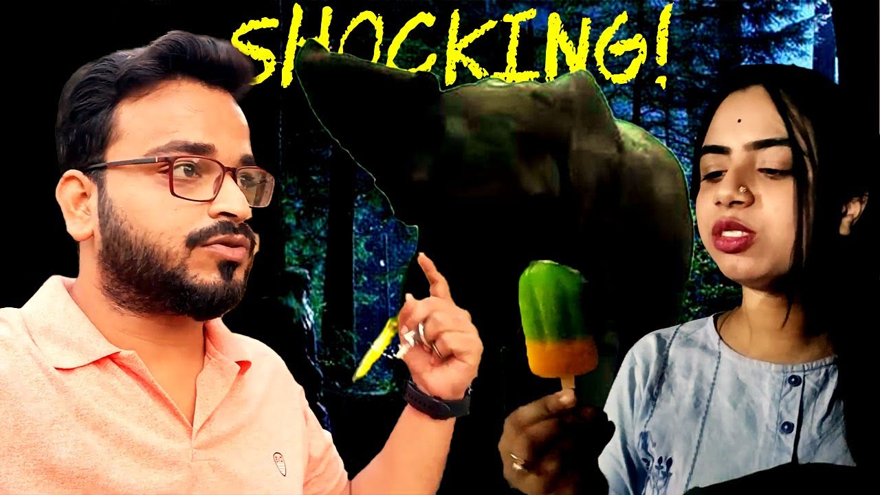 Elephant at haunted place VLOG || রাত্রির জঙ্গলে শুধু আমরা ? || Dark Forest