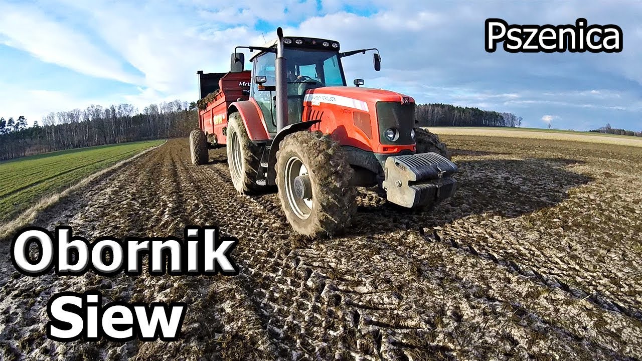 Obornik i Siew Pszenicy ㋡WIOSNA 2019㋡Massey Ferguson ㋡
