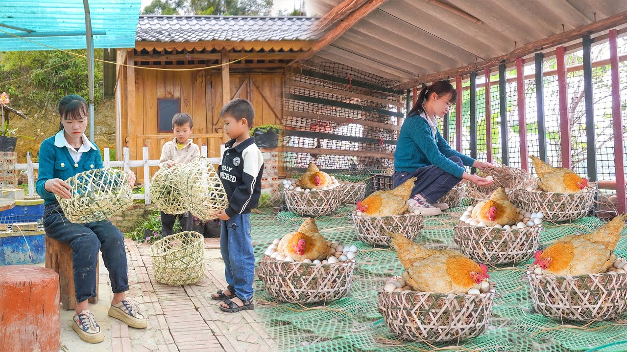 Make Many Nests for Chickens to Lay Eggs, Duckling Care, Fence Reinforcement - Peaceful Life Farm