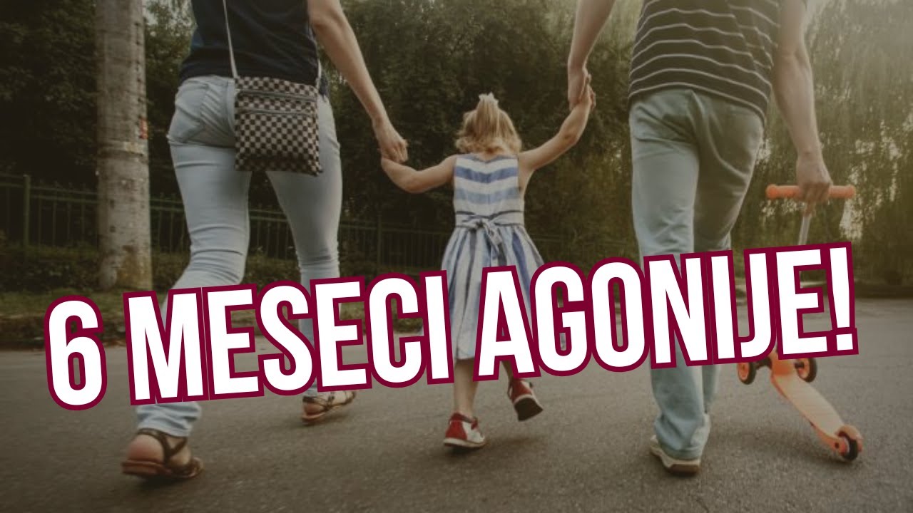 SRBIMA U BEČU ODUZELI DECU - Dečaka uzeli iz &scaron;kole, devojčicu iz vrtića