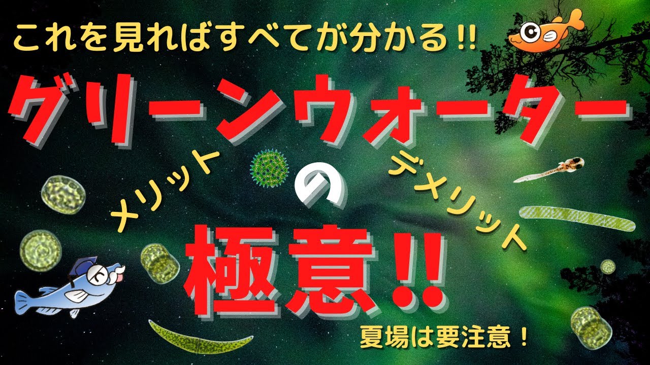 グリーンウォーター