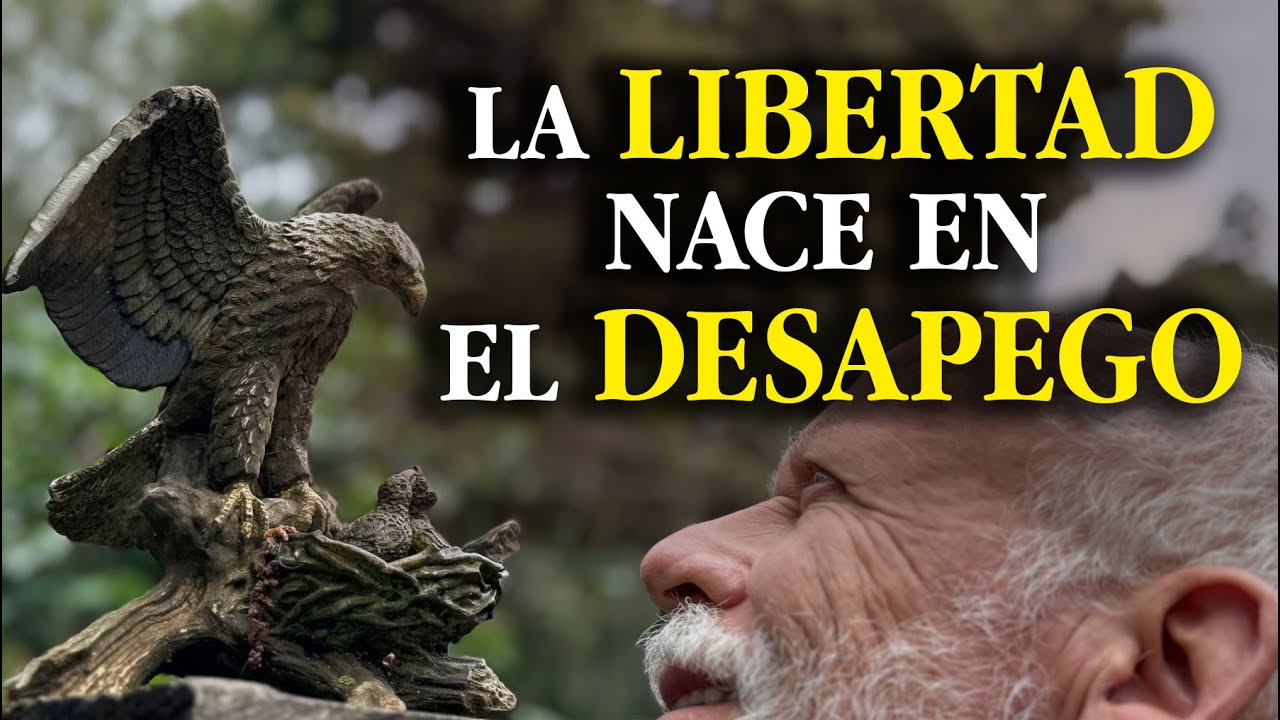 El desapego trae libertad