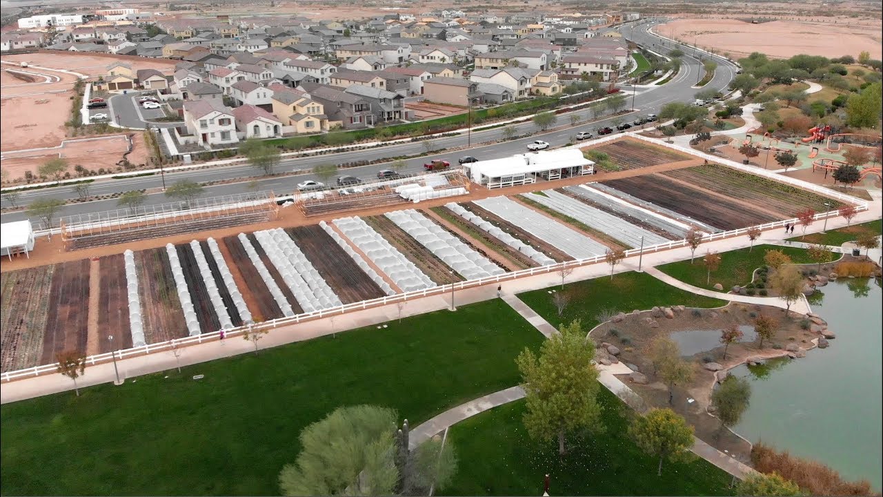 Introduction to what's coming - Steadfast Farm - Agrihood in Mesa, AZ