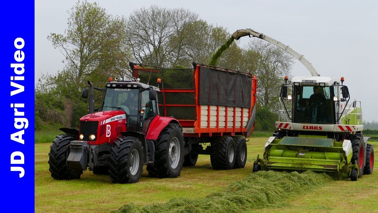 Claas + 3x Massey Ferguson + 2x Fendt + Werklust | Gras hakselen | Grass silage | Boschloo Gorssel