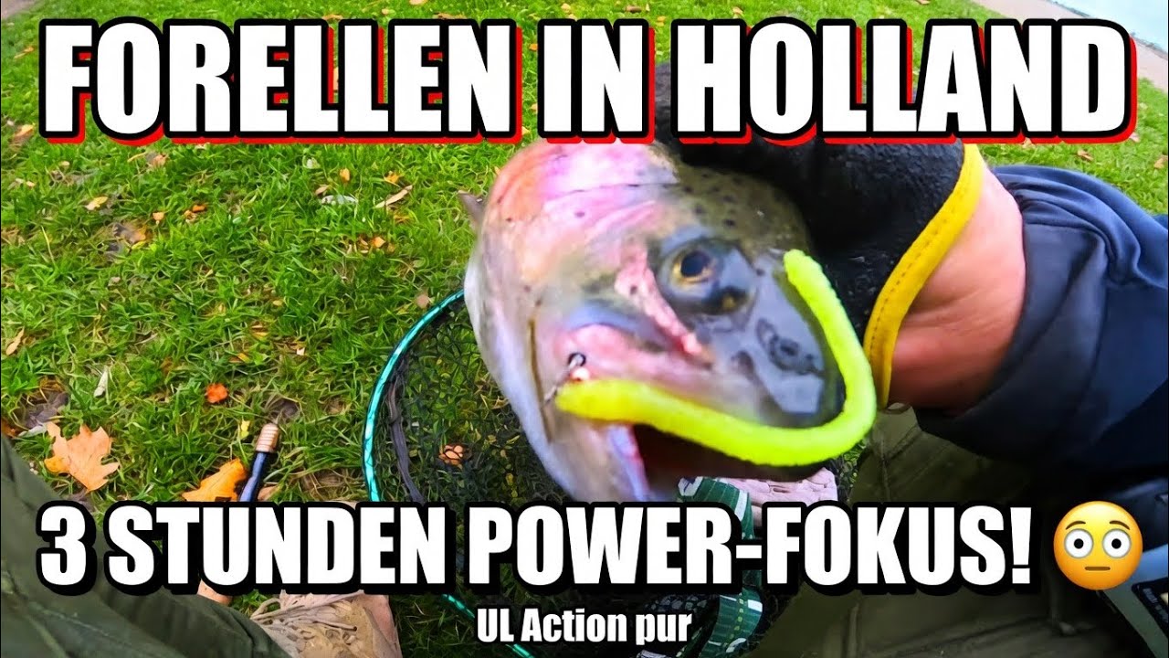 3 Stunden Fokus auf Forelle: Zwischenstopp bei WILD Bijzonder Vissen in Holland