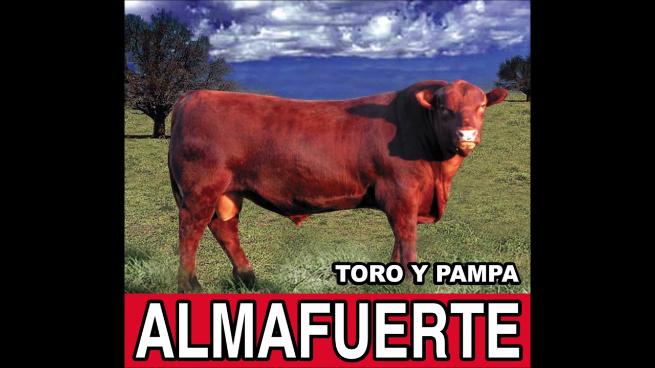 Almafuerte - Toro y pampa (AUDIO)
