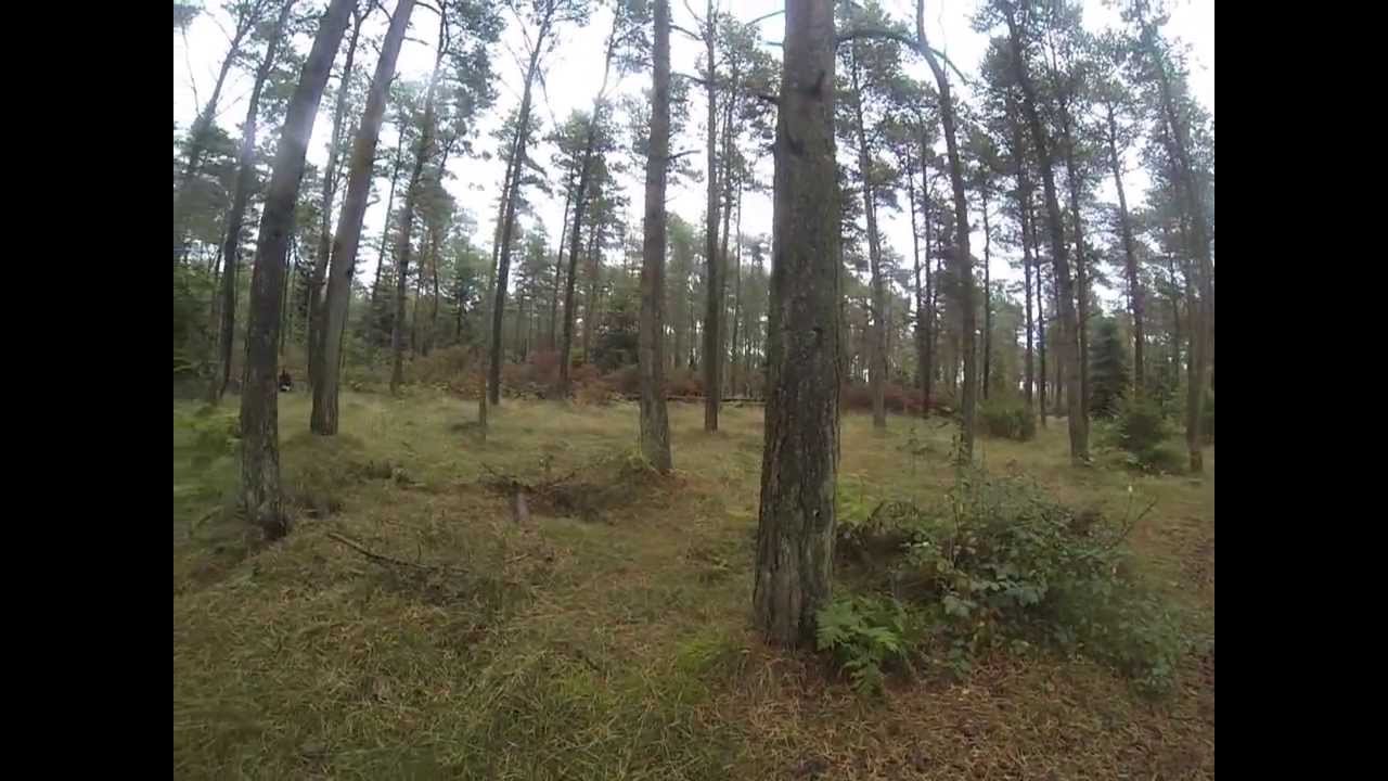 DCH Sæby - Rundering - Jonas med Marley (hvalp)