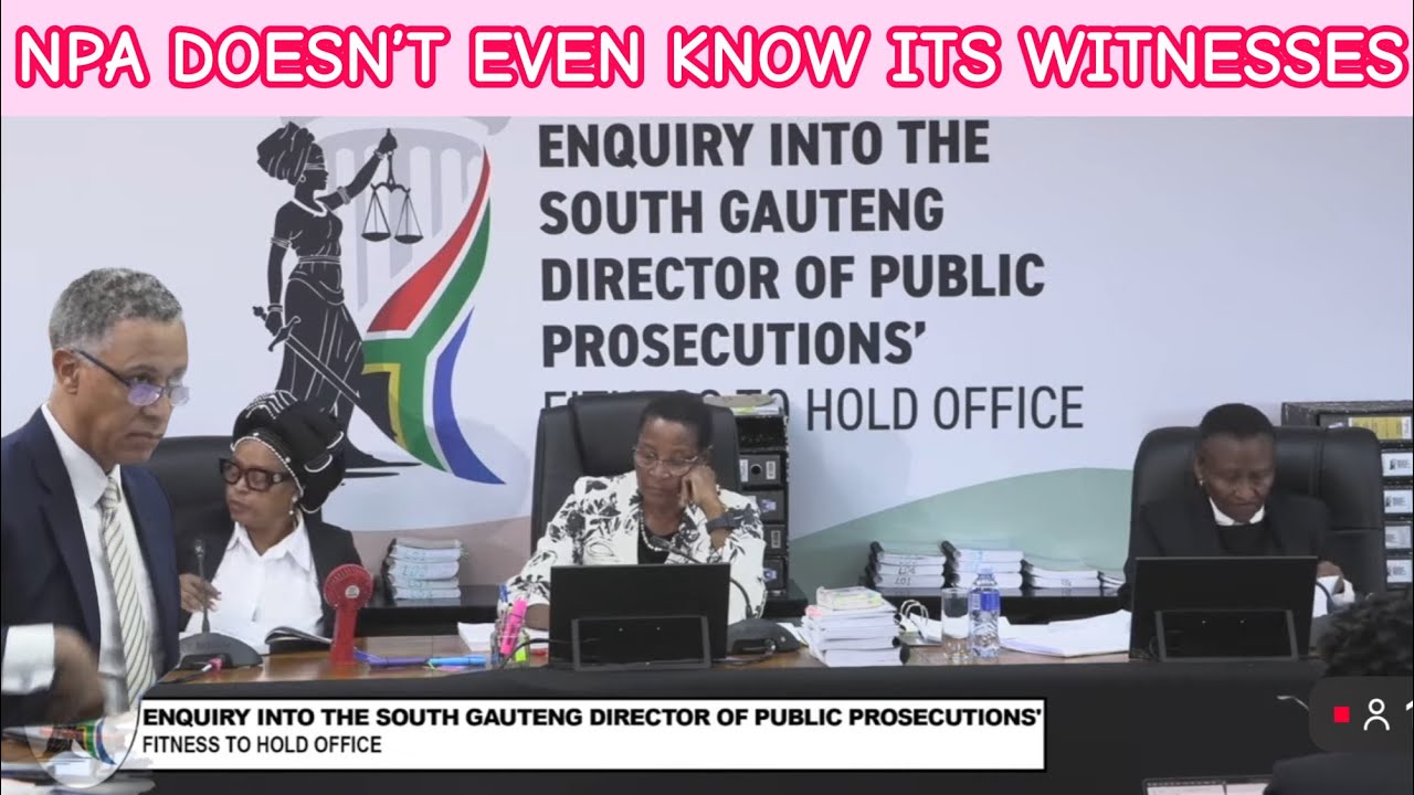 NPA ADV HALEY FAILS TO ANSWER JUSTICE NKABINDE AND SHE DOESN