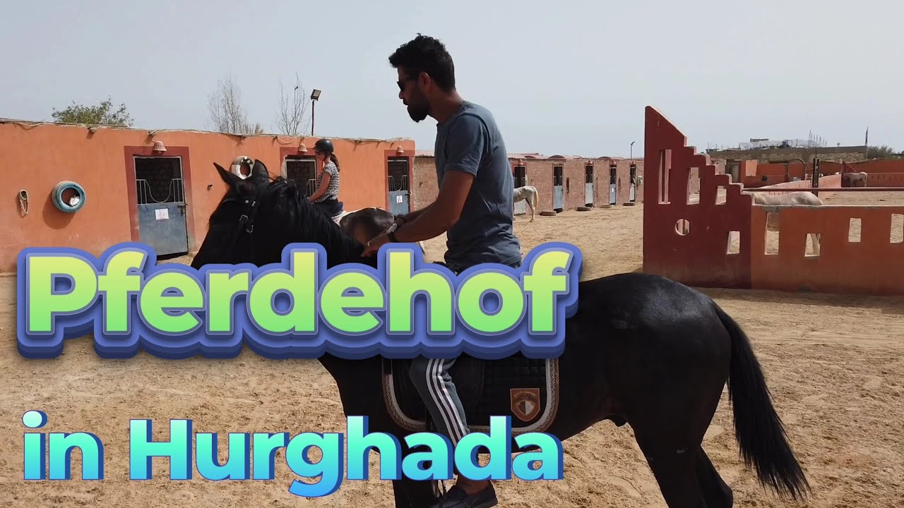 Pferdehof in Hurghada - Irgendwo im nirgendwo