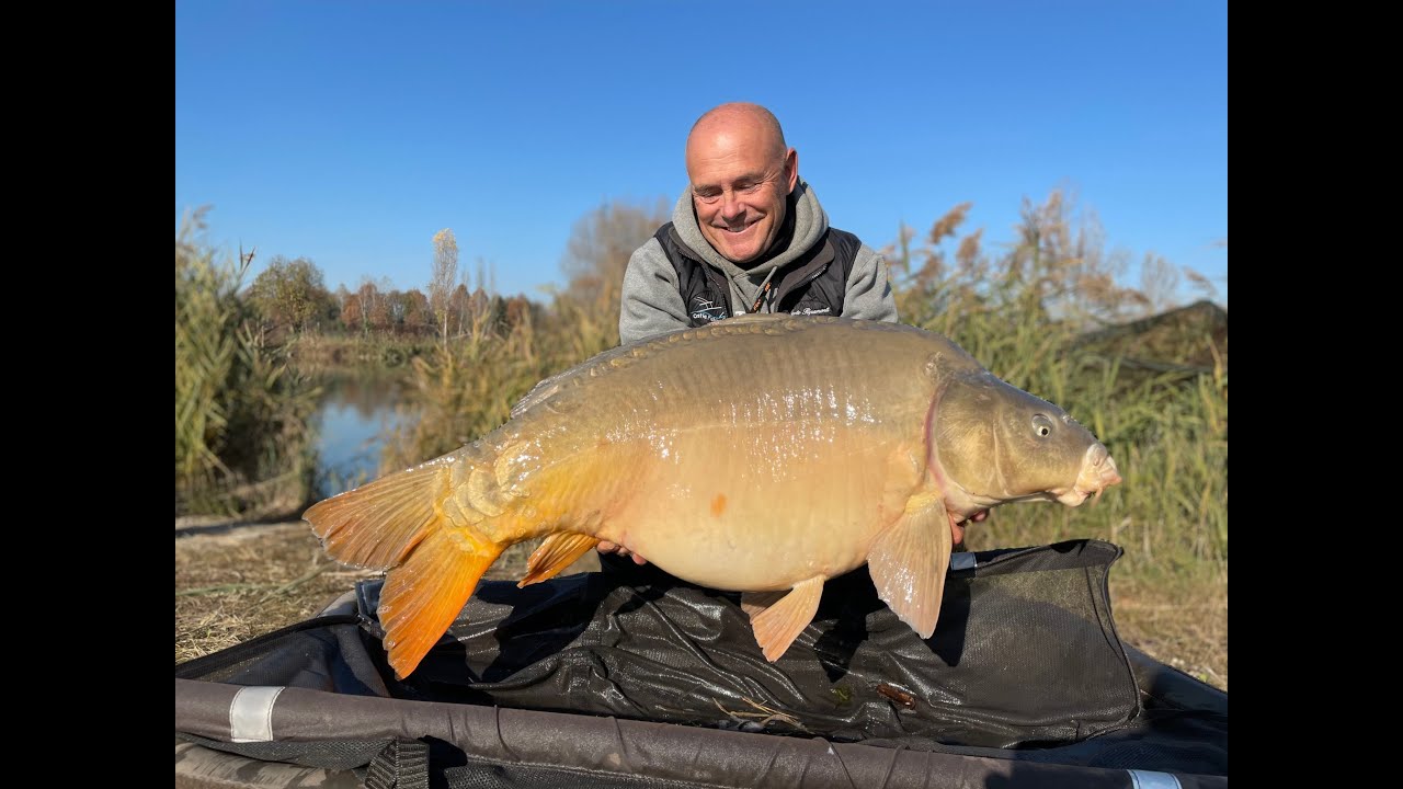 24 kg Mirror carp!