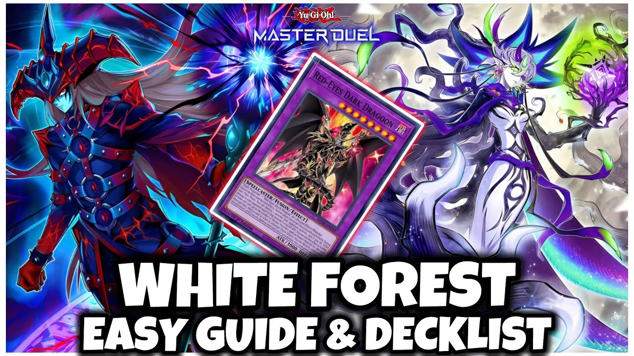 WHITE FOREST w/ DARK MAGICIAN SUPPORT! EASY GUIDE & DECKLIST!