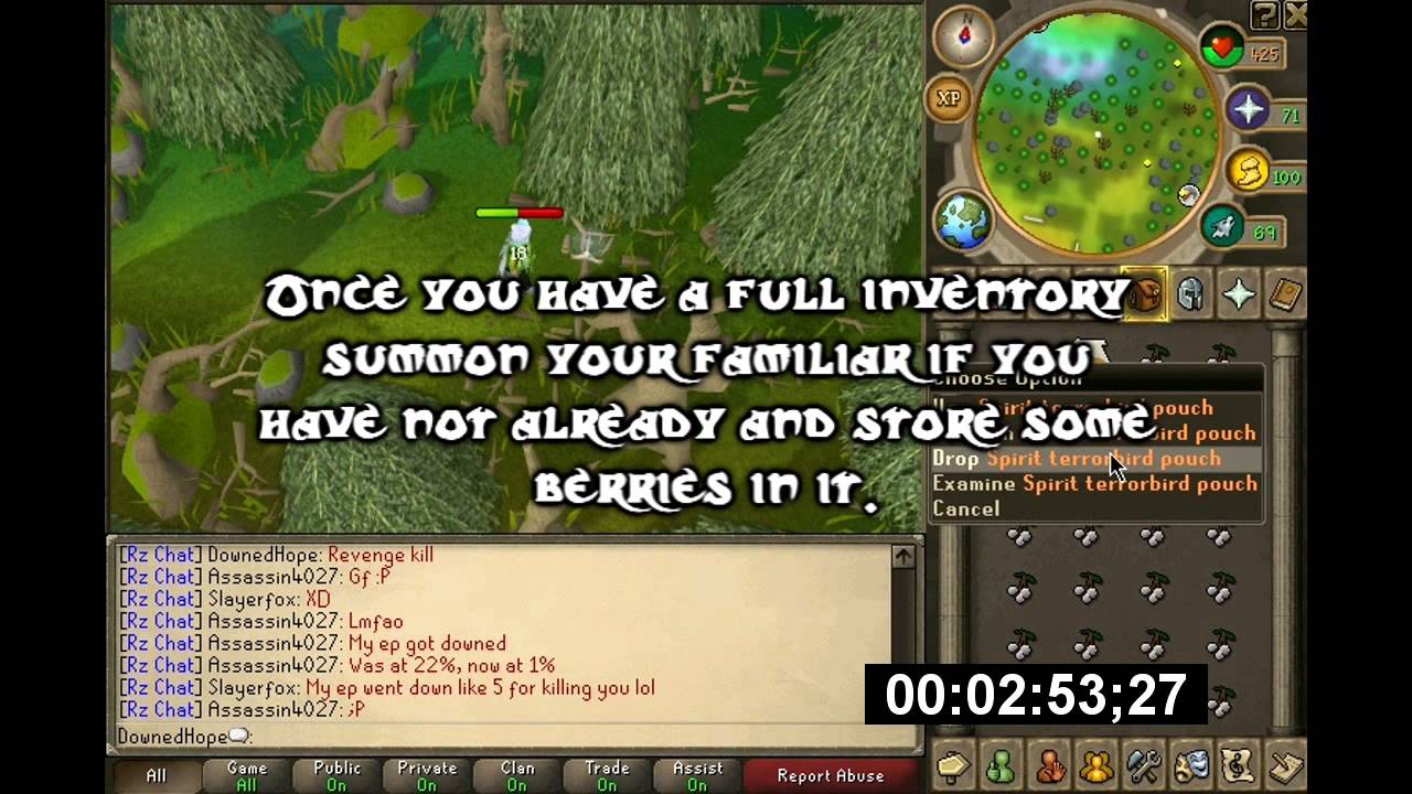 RuneScape White Berry Money Making Guide (680-740k Per Hour) - By DownedHope