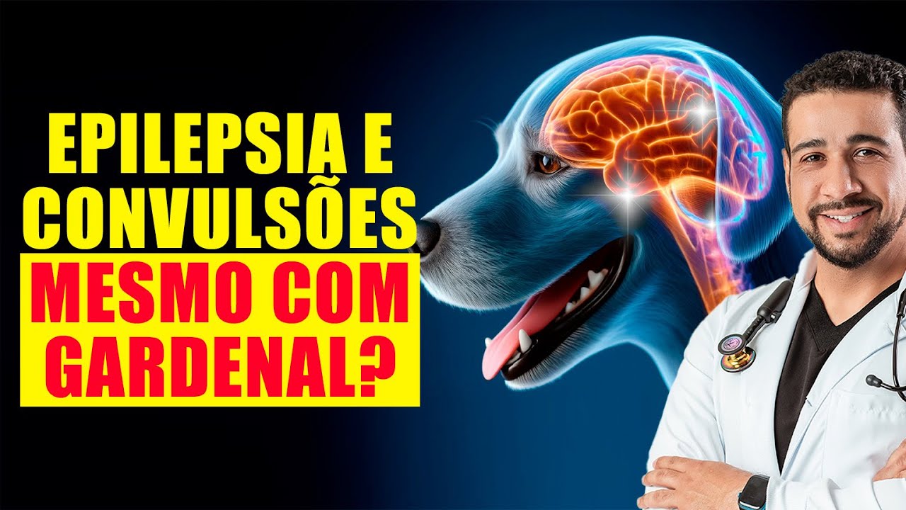 Cachorro com EPILEPSIA e CONVULSÕES, mesmo tomando Gardenal? | Dr. Alex de Alcântara