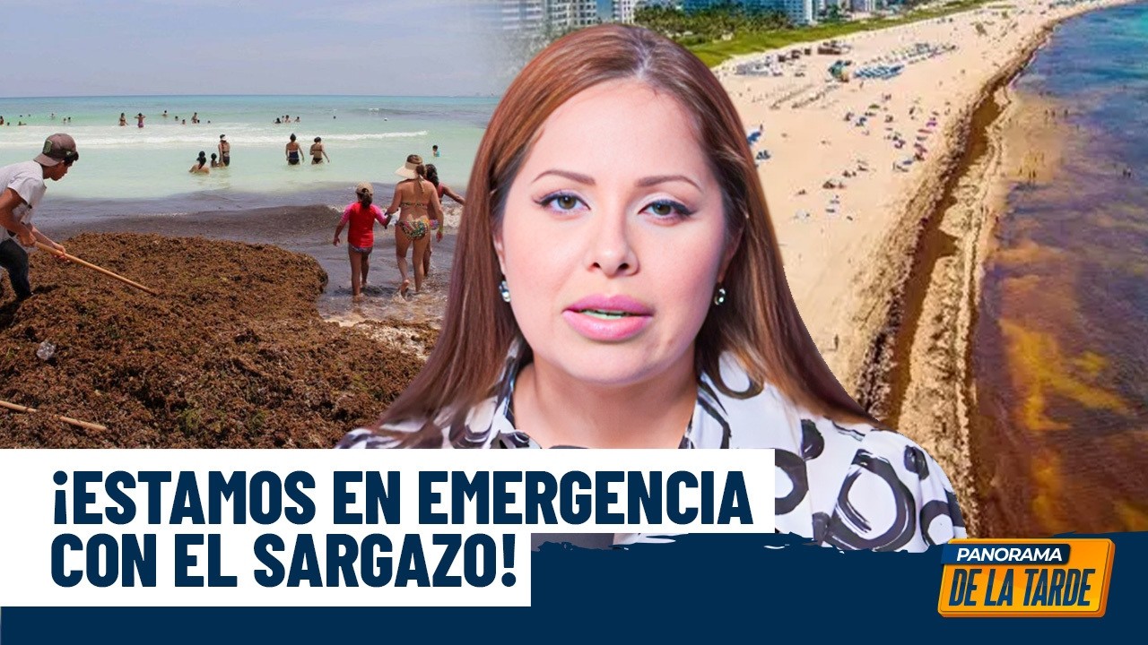 Susy Aquino Gautreau: ¡Estamos en emergencia con el sargazo! Y Sistema 911 arranca en Constanza