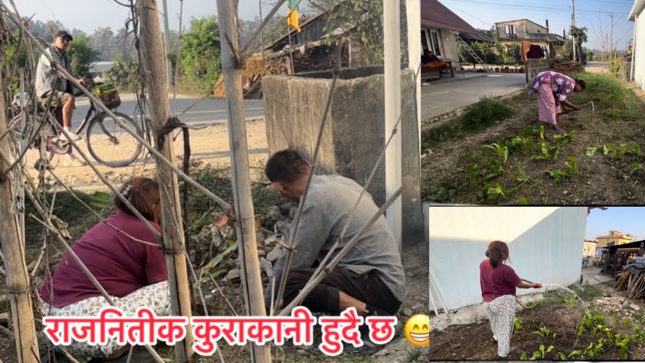 झाल पात लगाऊदै आज 🍃🌱