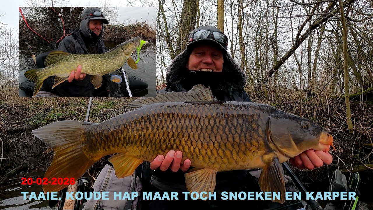 20 02 2026 SNOEKEN EN KARPER TAAIE KOUDE HAP bellyboat penhengel