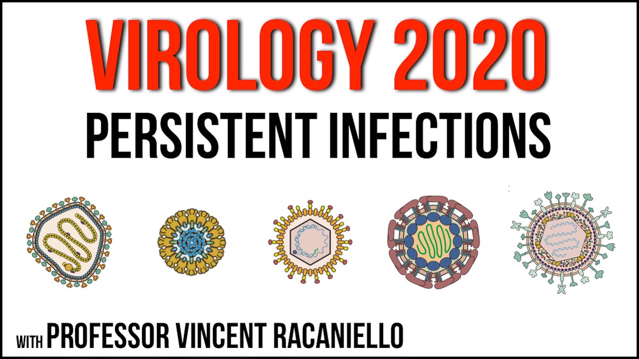 Virology Lectures 2020 #17: Persistent infections