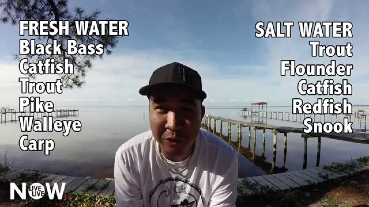 Yak-Tribe.com ALL WATER Online Kayak Fishing Tournament