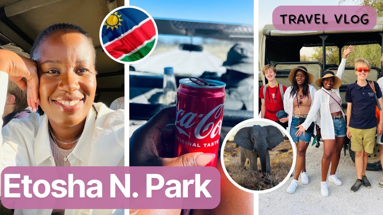 🌻 Safari Tour Vibes! | Part 4| Namibian YouTuber | Wild Day in Etosha National Park