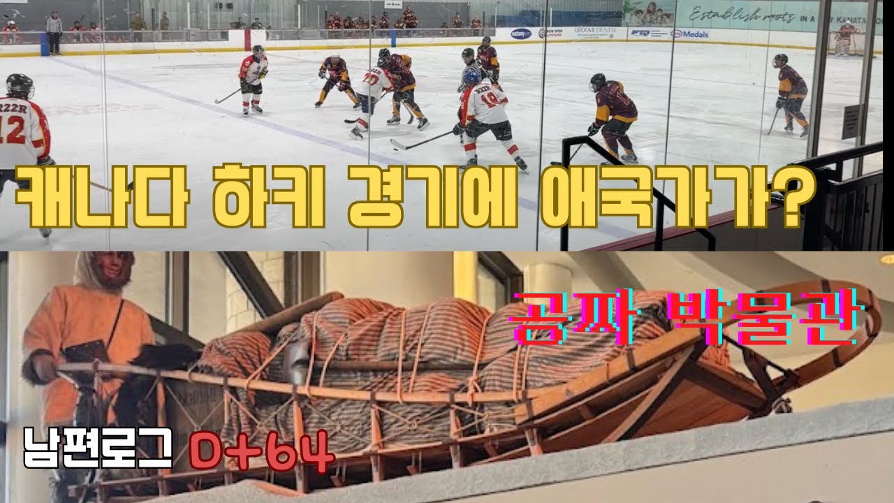 백신접종/하키관람/낙엽/글루텐프리/자전거/알곤퀸